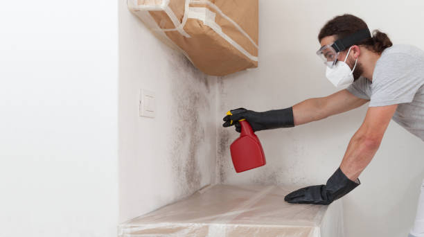 Professional Bathroom Mold Removal technician working in Cedar Grove, NC