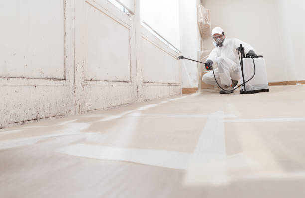 24/7 Emergency Bathroom Mold Removal experts in Cedar Grove, NC